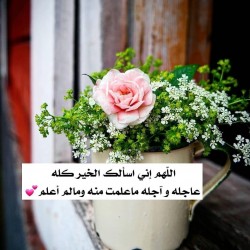 صورة Fatemaalshami