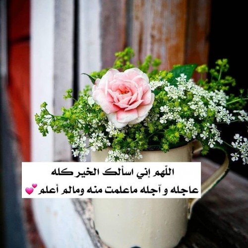 صورة Fatemaalshami