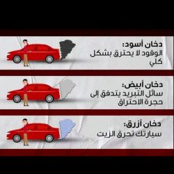 صورة Youseef