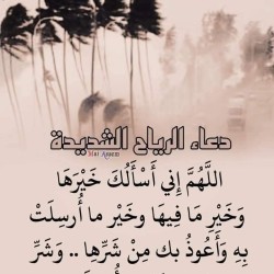 صورة salman