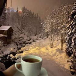 صورة welllo