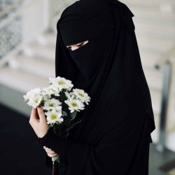 صورة هبه1