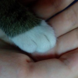 صورة قمر19