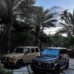 صورة مـاريه