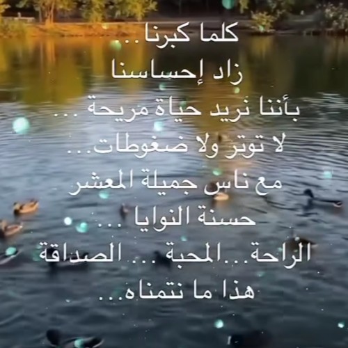 صورة فرح2024