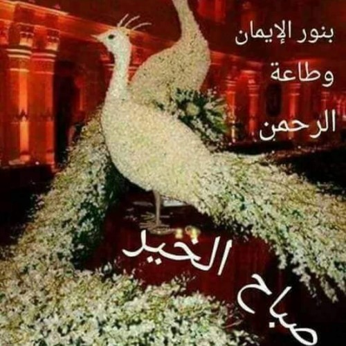 صورة Omaytam, امراه