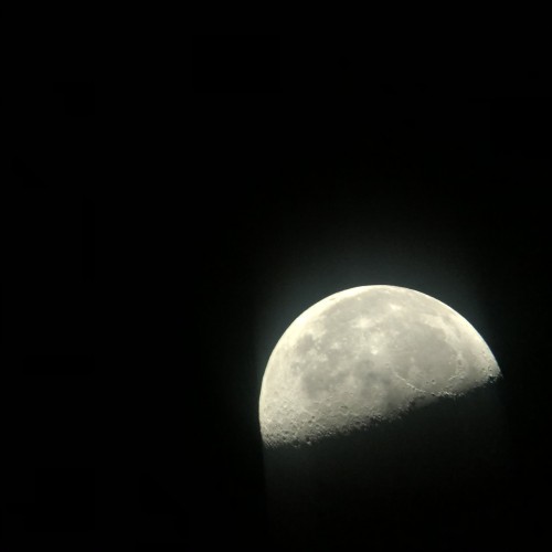 صورة Mocha212