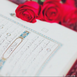 صورة Asil000