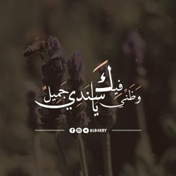 صورة مهى