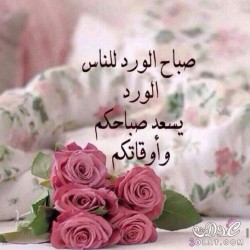 صورة Mostafa1947