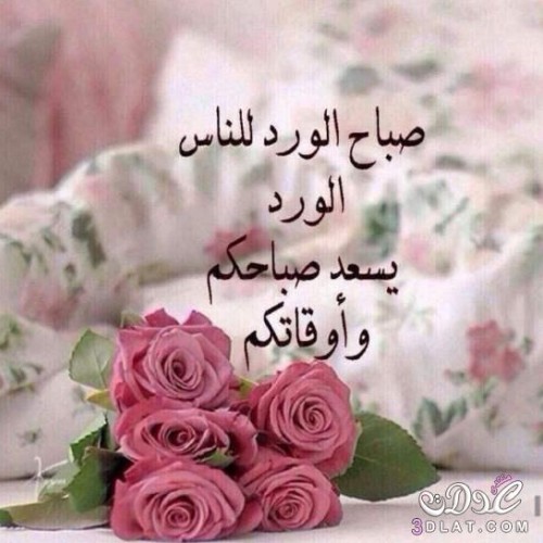 صورة Mostafa1947