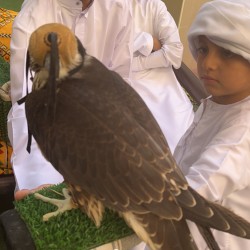 صورة Diamond