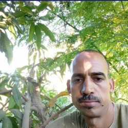 صورة بهاء