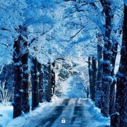 صورة hayat22