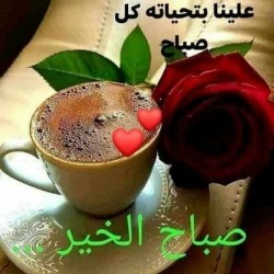 صورة Roba