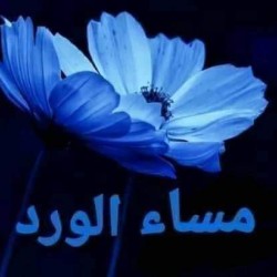 صورة Ashraf