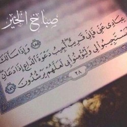 صورة yusufbh