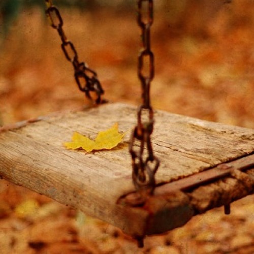 صورة Ghys
