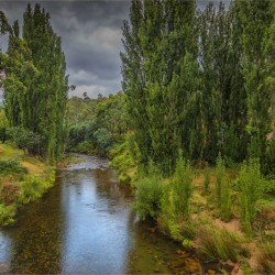 صورة almustshar