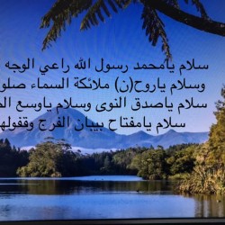 صورة عادل