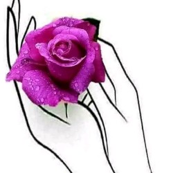 صورة Jiji10