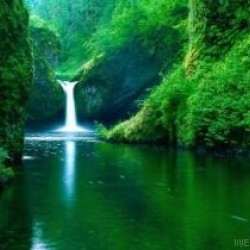 صورة ام سميرة