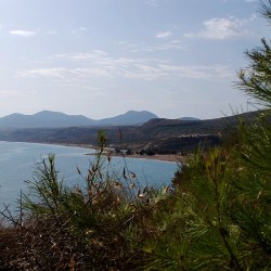صورة abdelmadjid