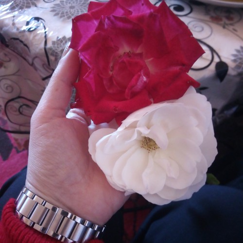 صورة غيتة81, امراه