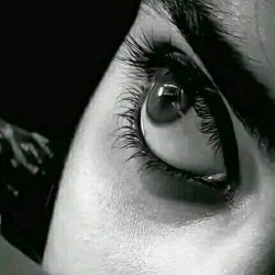 صورة Moka