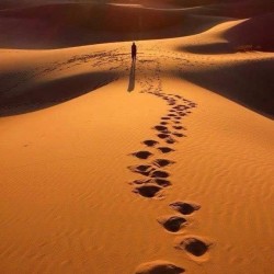 صورة من_بعيد
