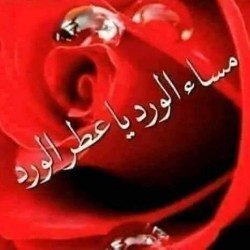 صورة Khalid3366