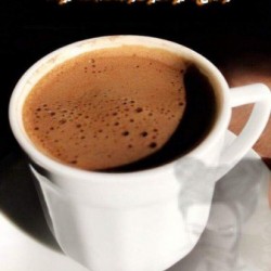 صورة زارا الاحمدي