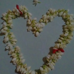 صورة A.l.a