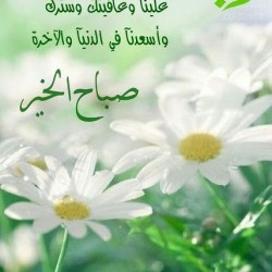 صورة As1530