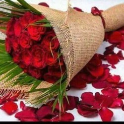 صورة Hayat