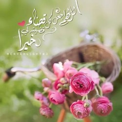 صورة 99حمد