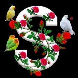 صورة SAHA