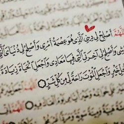 صورة ayat