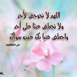 صورة ويسام