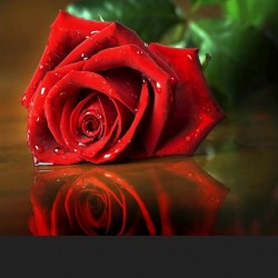 صورة samra99