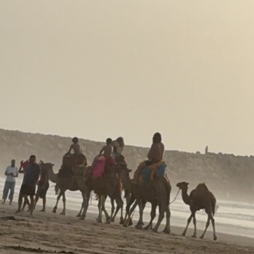 صورة Noujoud41, امراه