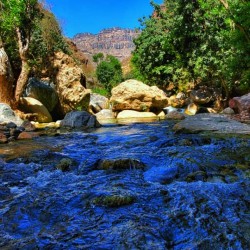 صورة Ahmedel