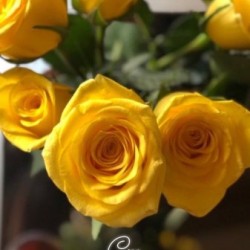 صورة Nora Mohammad