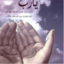 صورة souhila7