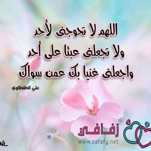 صورة ayman72