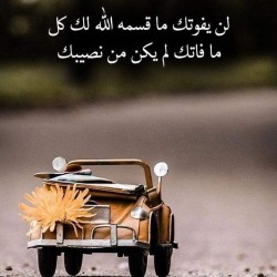 صورة abdelfettah0089