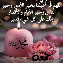 صورة نورالدين