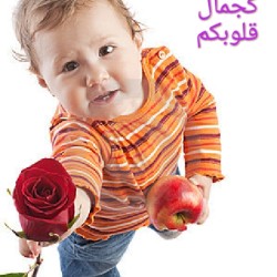 صورة Mohamed88