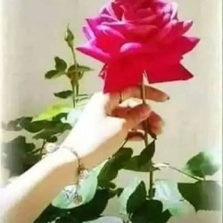 صورة سماح002