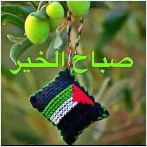 صورة Azez1